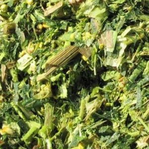 maize-based-silage